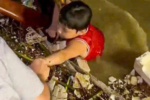 Bé trai được cứu sống khi trôi giữa dòng nước lũ sông Hàn trong đêm