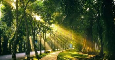 Dự báo thời tiết ngày 20/10/2025: Bắc Bộ và Thanh Hóa nắng nóng ban ngày, lạnh về đêm và sáng