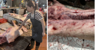 Vụ kỹ sư thú y cấu kết tuồn “thịt thối” vào bếp ăn công nhân: Lộ thủ đoạn kinh hoàng phía sau 837kg thịt nhiễm bệnh