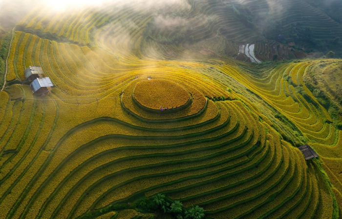 Bình minh buông xuống Mâm Xôi
