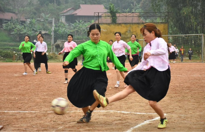 Ngày hội Văn hóa