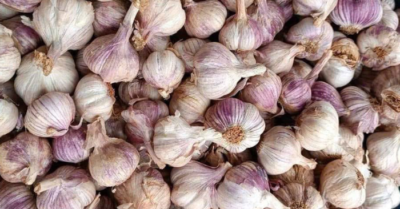 bạn nên ăn tỏi mỗi ngày để tăng cường sức khỏe