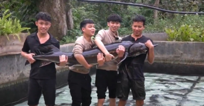 Con cá tầm lớn nhất Lai Châu sẽ được kết nối tiêu thụ tại Tuần lễ nông sản Việt 2025