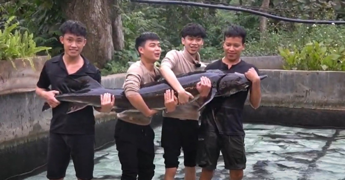 Con cá tầm lớn nhất Lai Châu sẽ được kết nối tiêu thụ tại Tuần lễ nông sản Việt 2025