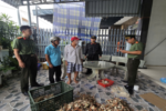 Khởi tố, bắt giam hai thuyền trưởng tổ chức cho người khác xuất cảnh trái phép
