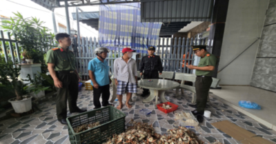 Khởi tố, bắt giam hai thuyền trưởng tổ chức cho người khác xuất cảnh trái phép
