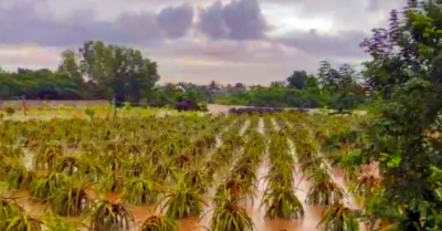 Chưa đầy 72 giờ, Lâm Đồng hứng thiên tai nặng nề, thiệt hại hơn 38 tỉ đồng