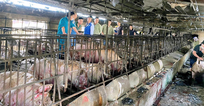 Tình người sau vụ cháy trang trại lợn ở Quảng Ninh