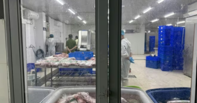Bàng hoàng thủ đoạn bơm tinh chất vào thịt trâu để tạo vân giống thịt bò WAGYU nhập khẩu