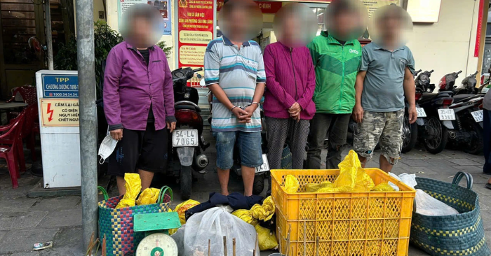mua bán mèo quy mô lớn
