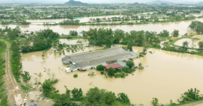 Vớt xác vịt trong vô vọng, nông dân Thanh Hóa mất trắng 2 tỷ đồng