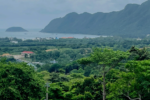 TPHCM triển khai điều chỉnh quy hoạch Côn Đảo đến năm 2045, định hướng thành khu du lịch quốc tế tầm cao.