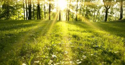 Dự báo thời tiết ngày 17/10: Bắc Bộ ngày nắng, đêm và sáng mưa rào