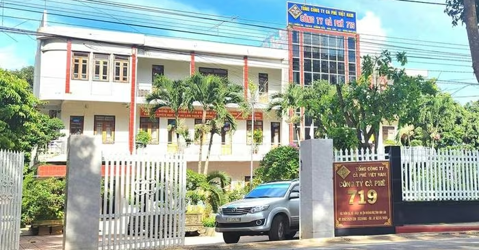 Công ty cà phê 719 bị truy thu tiền thuê đất