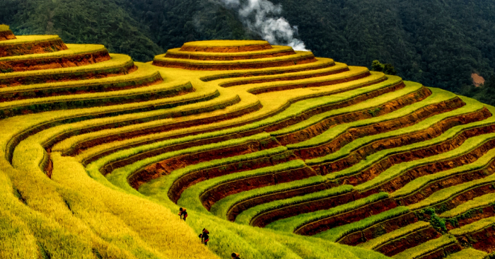 Vẻ đẹp thơ mộng của những thửa ruộng bậc thang mùa lúa chín