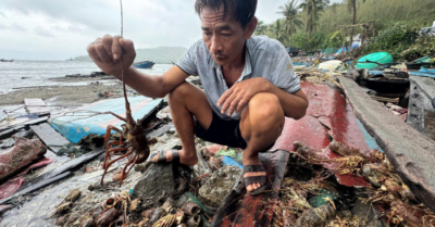 Thủ phủ tôm hùm tan hoang