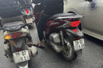 Xe SH trùng biển số Hà Nội: CSGT xử phạt 7,5 triệu đồng vì biển giả