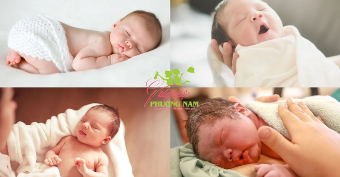 Nữ giúp việc cứu bé sơ sinh