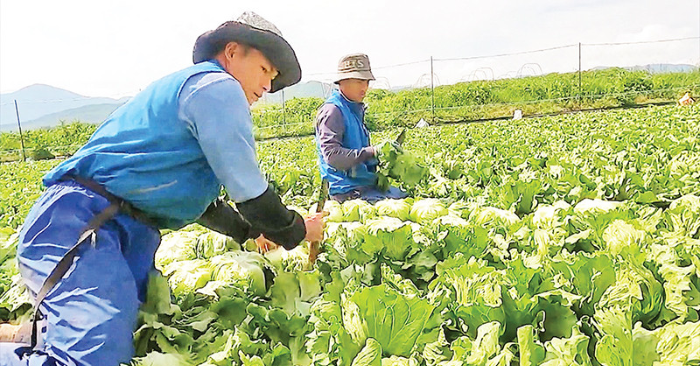 HỖ TRỢ LAO ĐỘNG VÙNG KHÓ KHĂN ĐI LÀM VIỆC Ở NƯỚC NGOÀI GIÚP GIẢM NGHÈO BỀN VỮNG