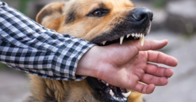 Nam thanh niên lên cơn dại 6 tháng sau vết chó cắn, tiên lượng nguy kịch