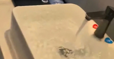 Du khách xả nước ngập khách sạn vì bị từ chối hủy phòng, phải bồi thường  278 lần