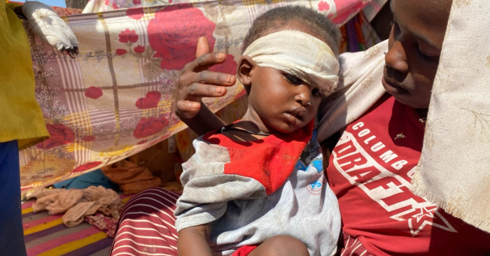 LHQ báo động nhân đạo sau thảm sát ở Sudan, ICC mở điều tra quốc tế