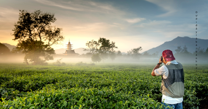 Ý nghĩa cuối cùng của đời người