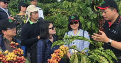 Mexico chi gấp 35 lần mua cà phê Việt Nam.