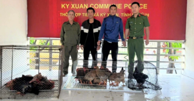 Trộm 24 con gà ở Hà Tĩnh: Hai đối tượng nghiện nhậu bị khởi tố