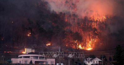 Cháy rừng Inje bùng phát – Hàn Quốc sơ tán khẩn cấp hàng nghìn dân