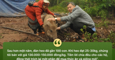 Quảng Trị: Đa dạng hóa sinh kế, trao “cần câu” giúp người dân thoát nghèo bền vững