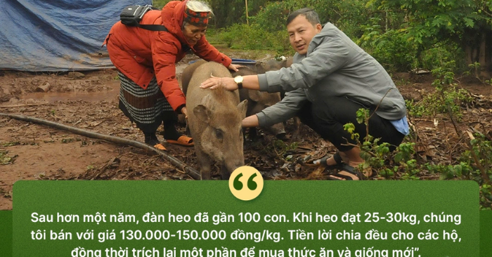 đa dạng hóa sinh kế