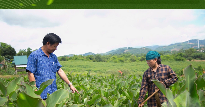 đa dạng hóa sinh kế