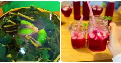 Uống nước tía tô mỗi ngày có tốt cho sức khỏe