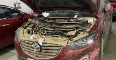 Bảo hiểm chi trả hàng trăm tỉ đồng tiền bồi thường thiệt hại do bão, lũ