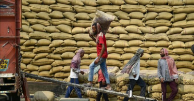 Cầu yếu, cung tăng gây sức ép lên giá gạo xuất khẩu châu Á