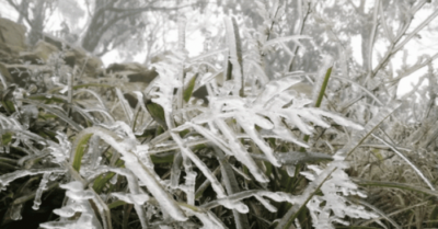 Mùa đông có thể xuất hiện băng tuyết