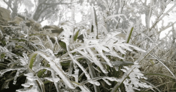 Mùa đông có thể xuất hiện băng tuyết