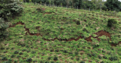 Khảo sát sạt lở tại xã D’ran Lâm Đồng