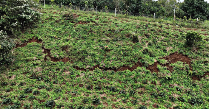 Khảo sát sạt lở tại xã D’ran Lâm Đồng