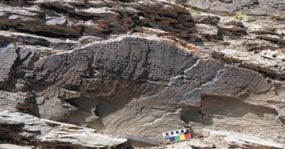 Giải mã kỹ thuật xây dựng khiến con đường 2.200 năm thời Tần Thủy Hoàng vẫn không mọc cỏ