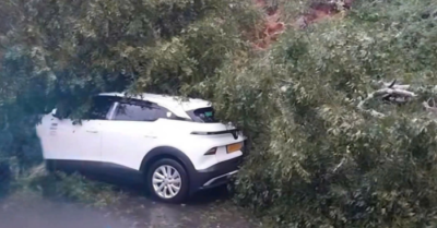 Sạt lở, cây đổ chắn ngang đèo Mimosa cửa ngõ Đà Lạt