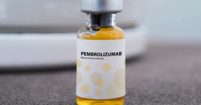 Pembroria của Nga sắp về Việt Nam