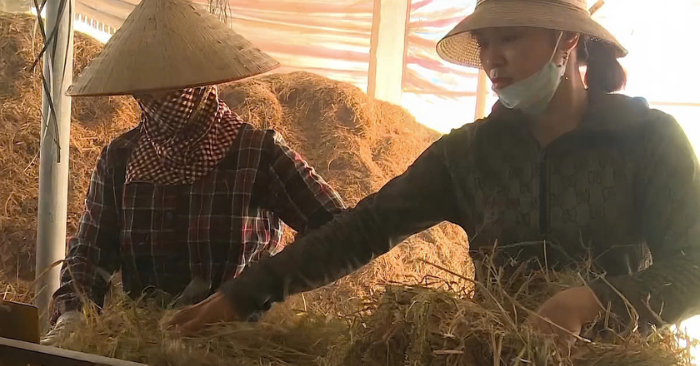 Giải mã thành công trong xây dựng nông thôn mới Ninh Bình: “Chìa khóa xanh” từ kinh tế tập thể