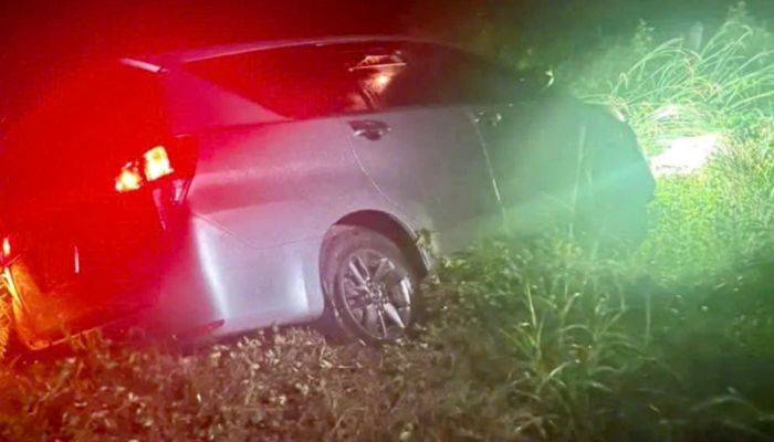 truy bắt nhóm trộm chó