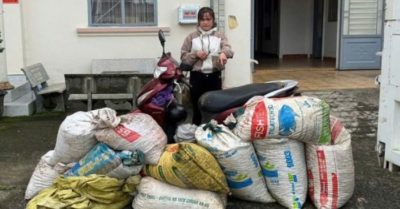 Đêm mưa gió, mang bao tải vào rẫy hái trộm hàng loạt cà phê