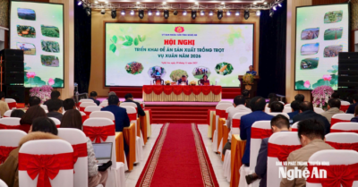 Nghệ An đặt mục tiêu đạt hơn 700.000 tấn lương thực trong vụ Xuân 2026