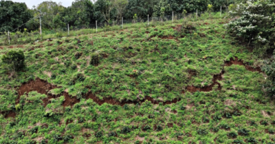 Vết nứt dài 700m xuất hiện trên đồi Trảng Bằng, buộc sơ tán khẩn cấp dân