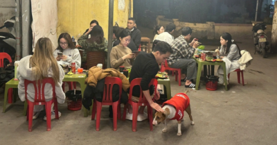 Quán nướng Hà Nội có chó lạ bất ngờ “gây sốt”, chủ lo “vỡ trận” vì khách đến quá đông