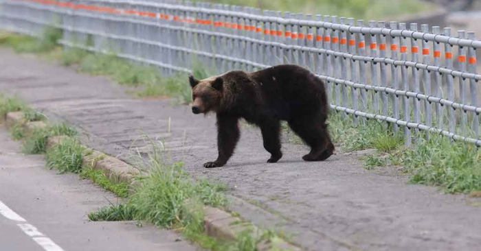Đồng hồ hé lộ phút cuối đời